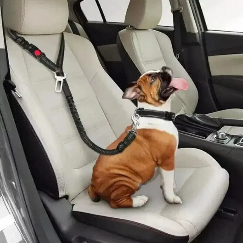 Dog Seat Belt for Car 3-In-1 Dog Leash Seatbelt Bungee Adjustable Reflective
