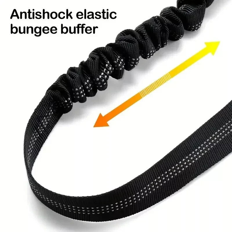 Dog Seat Belt for Car 3-In-1 Dog Leash Seatbelt Bungee Adjustable Reflective